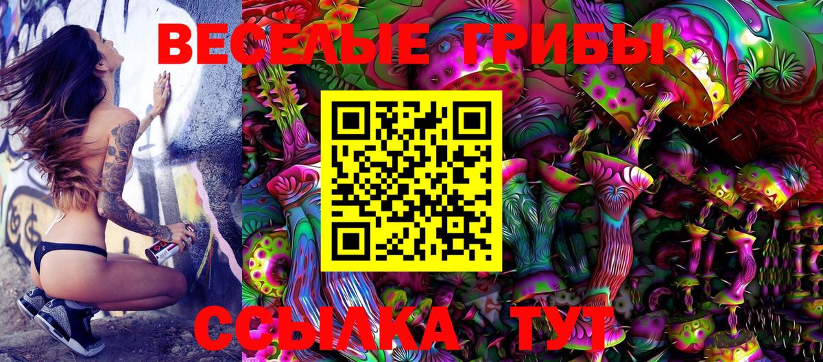 Галлюциногенные грибы MAGIC MUSHROOMS  сколько стоит  Гусев  Вход с VPN 