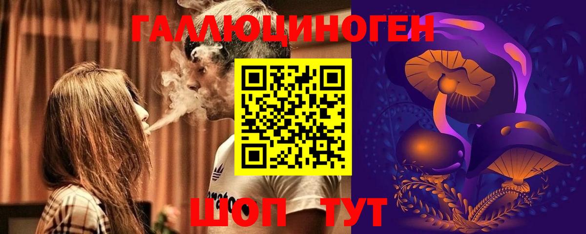 Псилоцибиновые грибы GOLDEN TEACHER Гусев